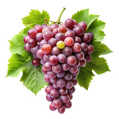 Fototapeta premium Fresh red grape cluster with green leaves isolated on a Trensprent Background png