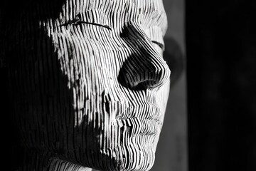 Biometric facial scan on black digital background