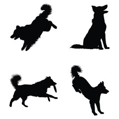 Collie Dog Vector illustration Design Collie Dog vector icon