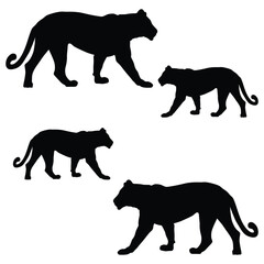 Couple Vector illustration Design Couple vector icon