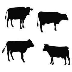 Cow silhouette illustration Design Cow silhouette icon	