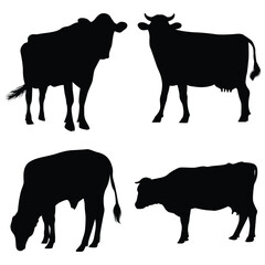 Cow silhouette illustration Design Cow silhouette icon	