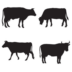 Cow silhouette illustration Design Cow silhouette icon	