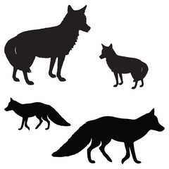 Coyote Vector illustration Design Coyote vector icon