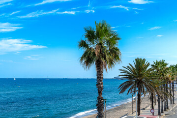 "Scenic Coastal View with Palm Trees Lining a Sandy Beach on a Clear Day with Calm Waters