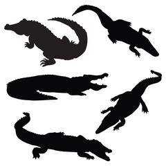 Crocodile Vector illustration Design Crocodile vector icon