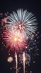 Obraz premium Colorful fireworks exploding in the night sky, celebrating a special occasion. The display of vibrant lights illuminates the darkness