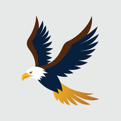 Colorful flying eagle vector art illustration