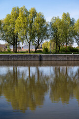 Tree reflections in the river Lys in Halluin, Département du Nord, France