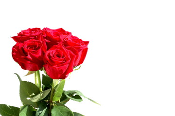 A bouquet of red roses is on a white background.