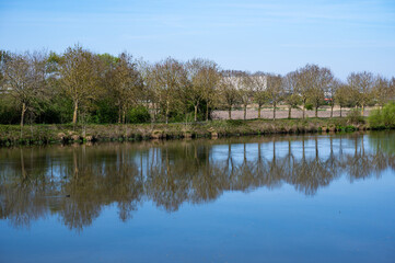 Tree reflections in the river Lys or Leie in Wervik, West Flanders, Belgium