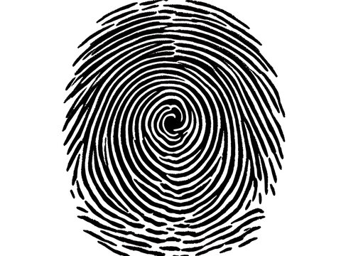 A high-resolution black ink fingerprint on a white background, captured with sharp detail. The fingerprint shows a clear whorl pattern with fine ridge lines and natural smudges for authenticity. 
