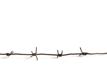 Barbed wire lies on a white background.