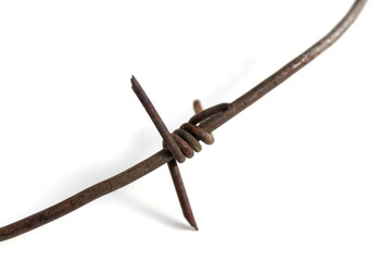 Barbed wire lies on a white background.