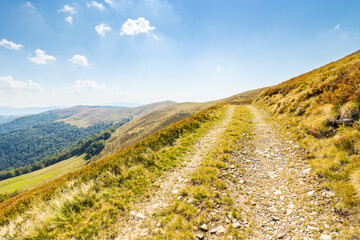 dirt road in carpathian mountains. countryside landscape. krasna ridge in summer. scenic view