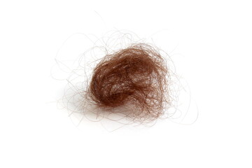 On a white background lies a crumpled ball of fallen hair.