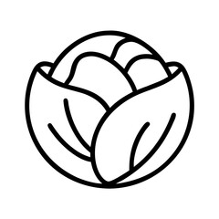 Cabbage vector icon illustration, fresh vegetable, healthy food, outline drawing, isolated design