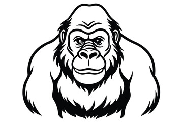 Gorilla illustration on White Background