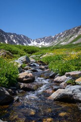 Fototapeta premium A quiet rocky stream cascading through a wildflower valley with clear water reflecting the blue sky and snowy peaks Generative AI