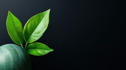 Obraz premium Russian involvement in global environmental protection initiatives and its impact on Europe and America