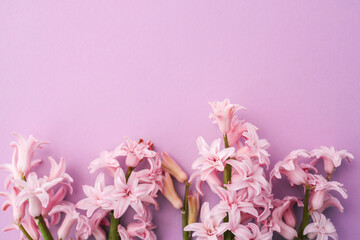 Pink hyacinth flowers arranged along the left side of a pastel pink background, leaving space for text or design, creating a soft and elegant spring floral composition