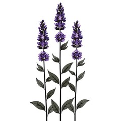 Naklejka premium Elegant lavender floral sketch illustration with leaves high resolution photo