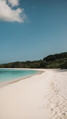 Fototapeta premium Secluded white sand beach with clear water and lush jungle under bright morning sun