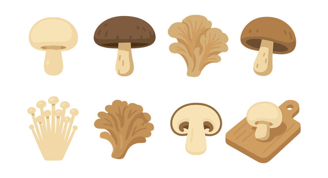 Edible mushroom icons set: diverse fungi collection in flat style. Vector icons