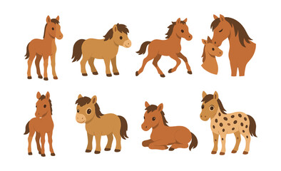 Charming foals and ponies icon set: for equestrian enthusiasts. Vector icons