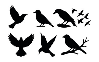 Elegant bird silhouette icons set - for design projects, apps, and websites. Vector icons