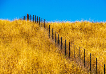 Obraz premium Fence and Field
