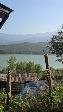 Forest lake 