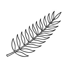 Obraz premium classic nz silver fern icon, classic nz silver fern vector illustration-simple illustration of classic nz silver fern , perfect for classic nz silver fern logos and icons