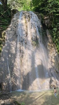 Forest and waterfall