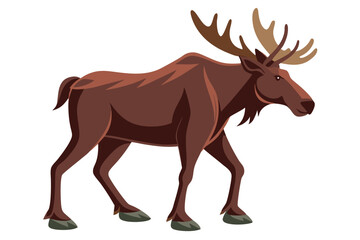 Moose Walking Illustration on White Background