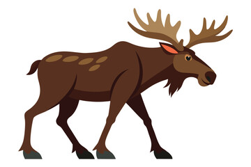 Moose Walking Illustration on White Background