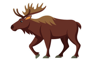 Moose Walking Illustration on White Background