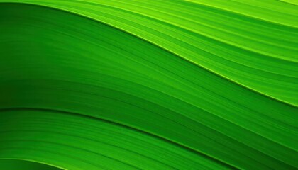 Green leaf vein pattern