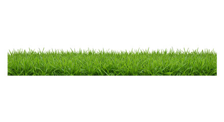 Green Grass isolated, Cutout 