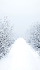 A serene winter path meandering through snow laden branches in a tranquil snowscape scene.