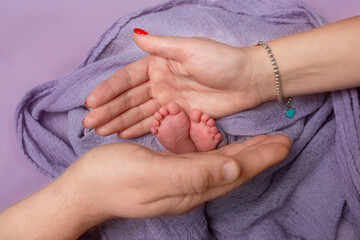 Fototapeta premium BD0A8984-Edit.tif