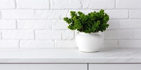 Naklejka premium Potted green plant with lush leaves in white ceramic pot on white countertop near textured brick wall, creating a minimalist and fresh aesthetic indoors. 