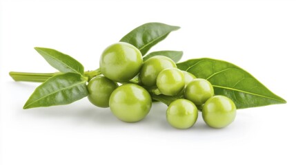 Zimbabwe Bird pepper isolated on white background. Generative AI