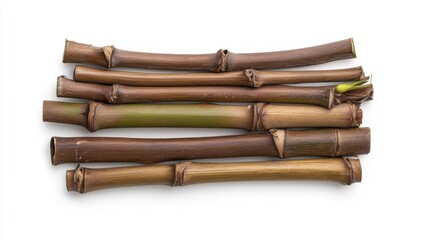 Bamboo Sticks with New Growth. Generative AI