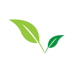green leaf garden nature icon vector illustration template design