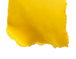 Isolated, paper, yellow, ripped, white, torn and imperfect yet visually striking, this vibrant scrap floats alone against a clean white background, emphasizing contrast, fragility, and an abstract aes