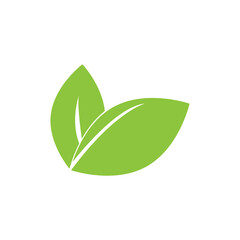 green leaf garden nature icon vector illustration template design