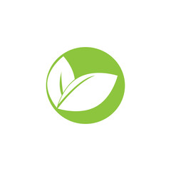 green leaf garden nature icon vector illustration template design