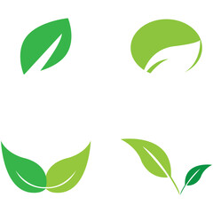 leaf nature icon vector illustration template design