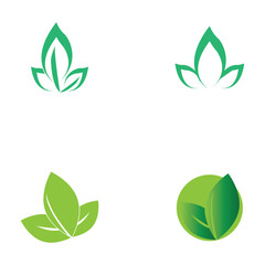 leaf nature icon vector illustration template design